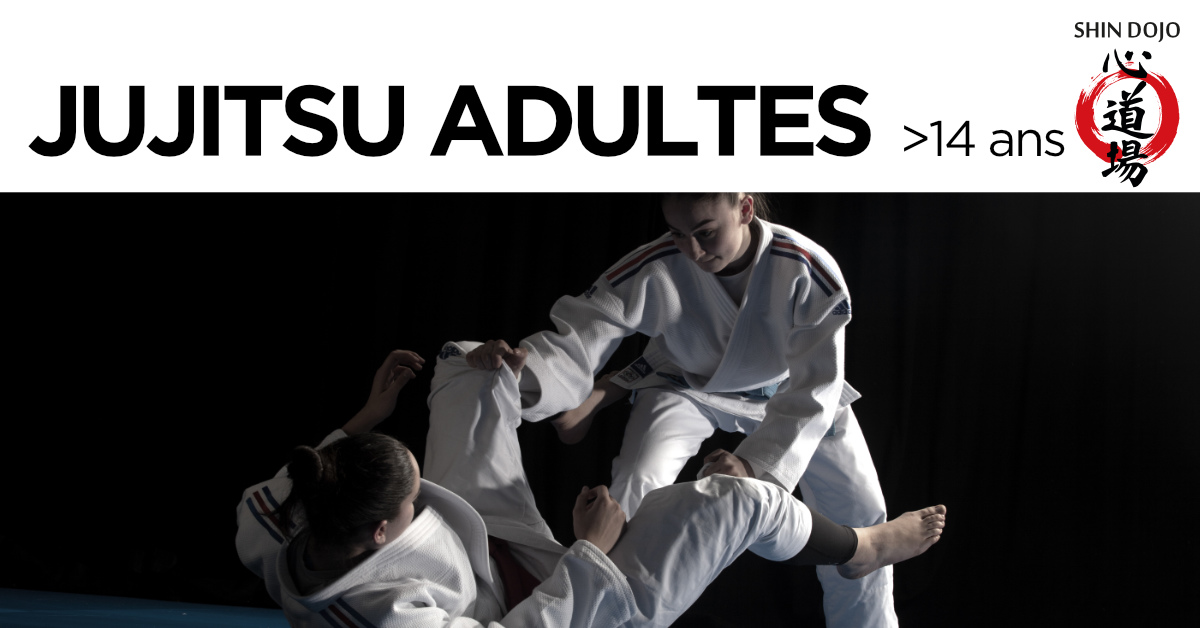 inscription jujitsu newaza - club shin dojo herblinois