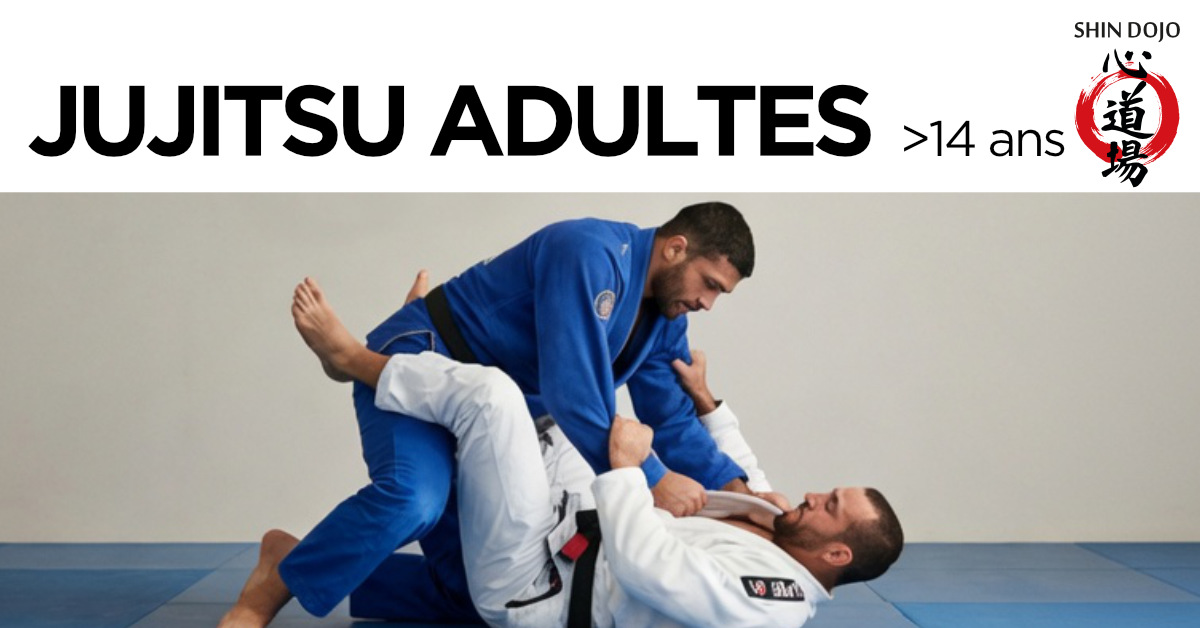 inscription jujitsu newaza - club shin dojo herblinois
