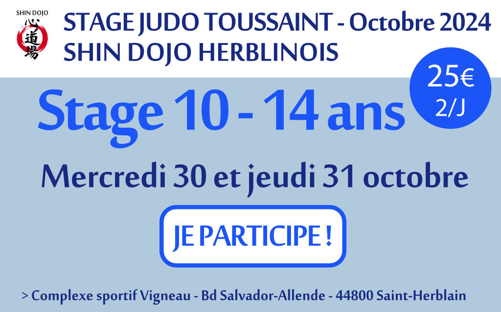 shindojo 2024 stage toussaint 10 - 14 ans