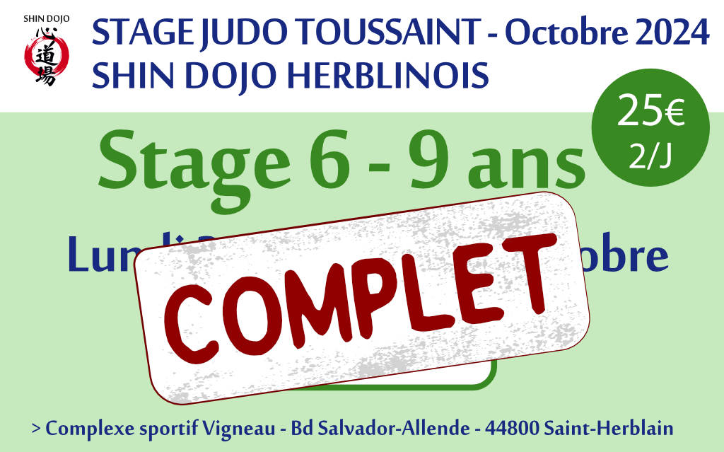 shindojo 2024 stage toussaint 6 - 9 ans