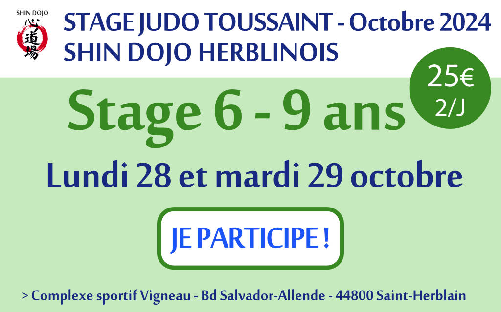 shindojo 2024 stage toussaint 6 - 9 ans